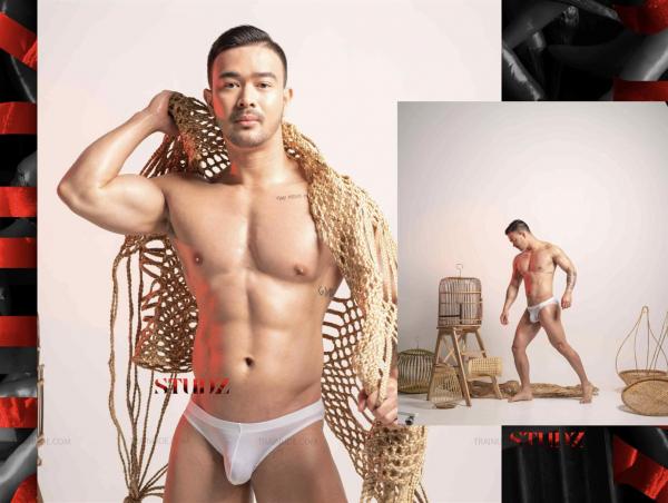 STUDZ-01--Zesty--Ebook--Video-